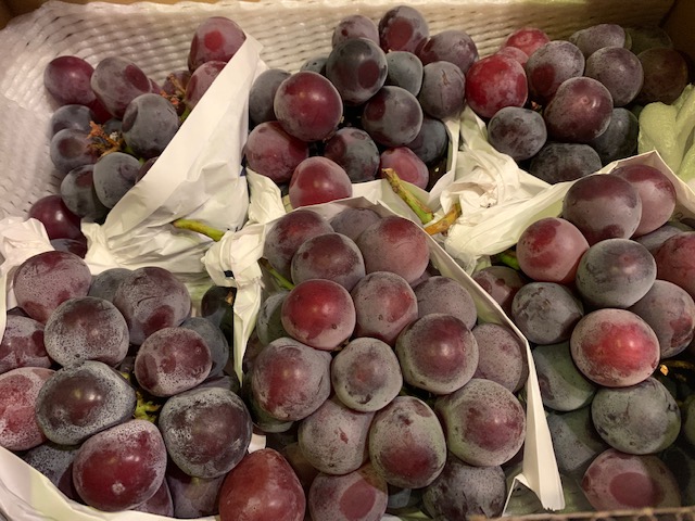 岡山県産ニューピオーネ🍇