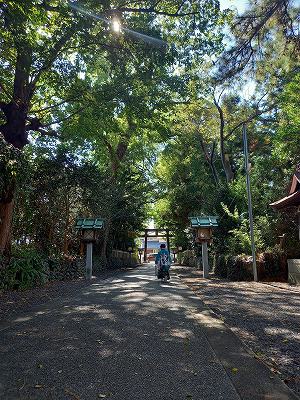 島田市大井神社　七五三参拝