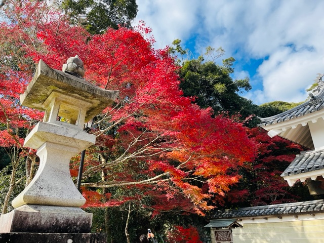 年末年始のお知らせ