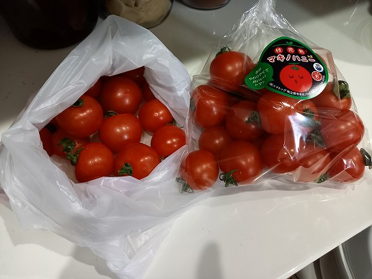 牧之原市　トマトップさん🍅