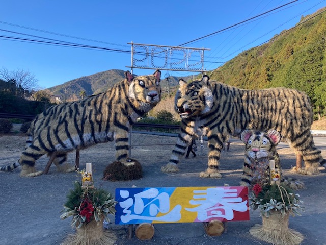 2022年寅年🐯島田市大代 ジャンボ干支