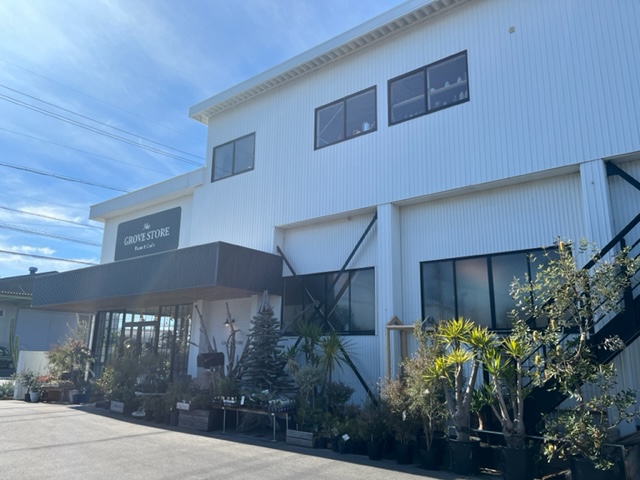 島田市　GROVE　STORE🍃🌲