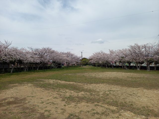 吉田町　大幡　お散歩♪