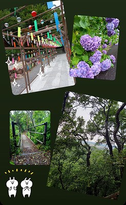 小笠山に登ってきました🏔