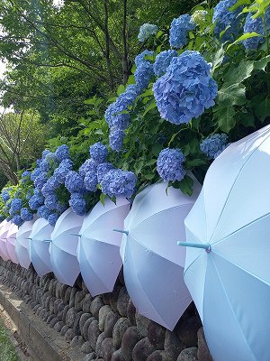 法多山参拝⛩　吉田町から車で40分🚙