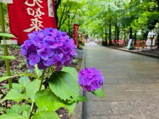 袋井市　油山寺🎐　吉田町から約40分🚗