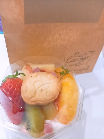 焼津市ポメゾンさん　吉田町から約10分