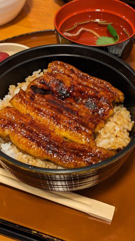 吉田町　うな専