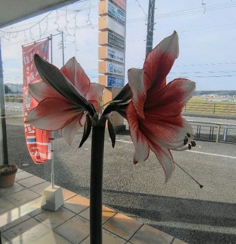 開花