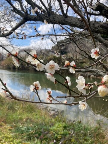牧之原市　勝間田川