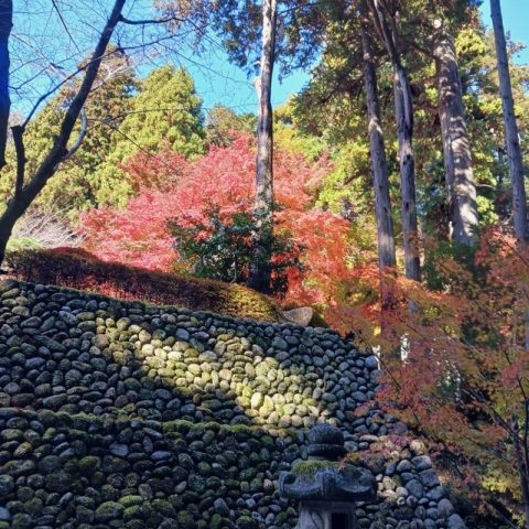 袋井市　法多山　紅葉