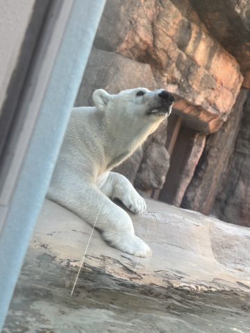 静岡　日本平動物園